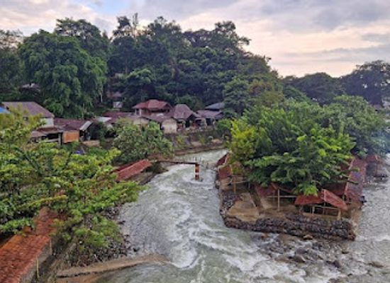 indonesia/bukit-lawang/attraction/wonderful-orangutan-sumatera
