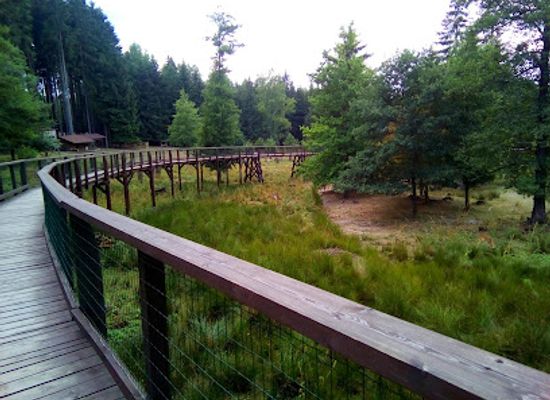 czechia/karlovy-vary/attraction/wildgehege-st-linhart