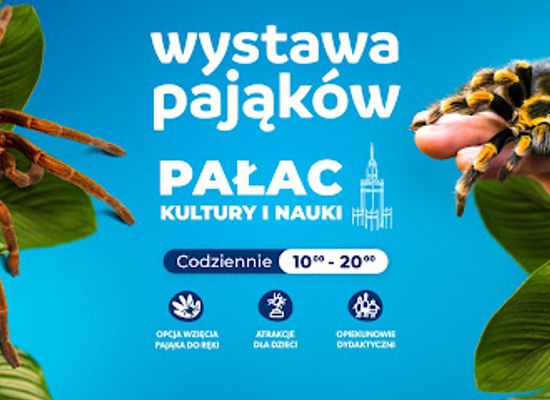 poland/warsaw/attraction/wystawa-pajakow-warszawa