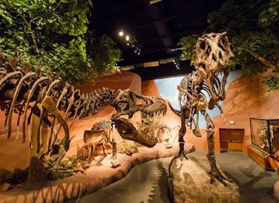 utah/cedar-valley/attraction/mountain-america-museum-of-ancient-life-at-thanksgiving-point