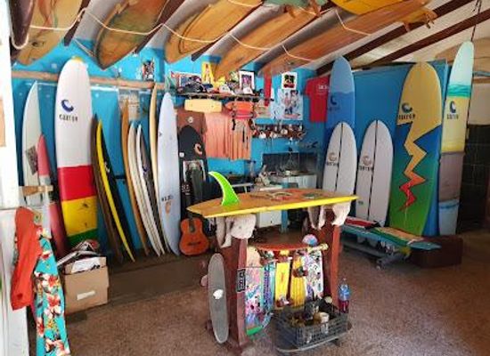 costa-rica/puntarenas/attraction/carton-surfboards