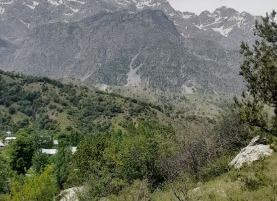 kyrgyzstan/arslanbob-walnut-forest/attraction/auk-tur