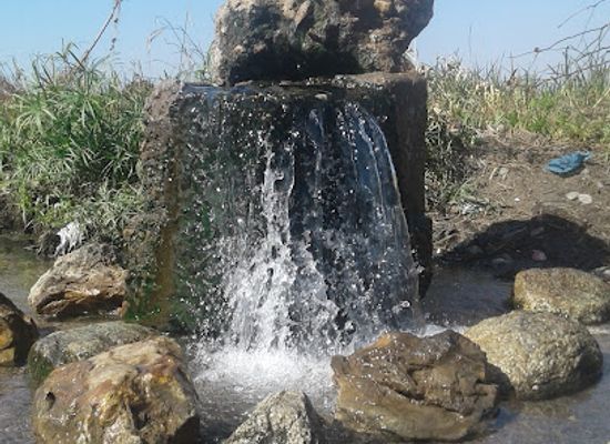 zambia/chimfunshi-wildlife-orphanage/attraction/kapisha-hot-spring