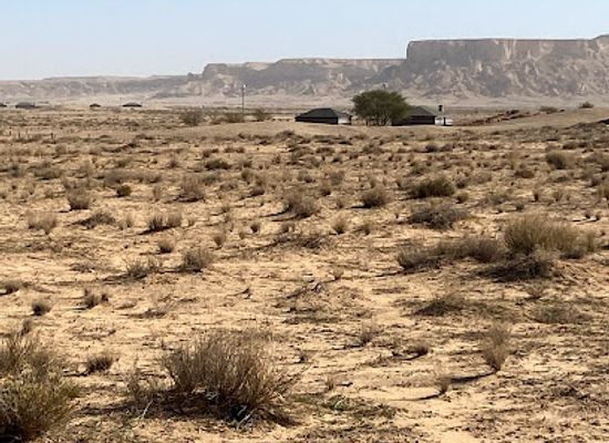 saudi-arabia/empty-quarter-desert/attraction/king-khalid-royal-reserve