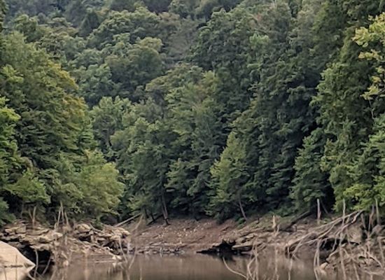 kentucky/sheltowee-trace-national-recreation-trail/attraction/cumberland-star-riverboat
