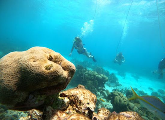 aruba/arikok-national-park/attraction/snuba