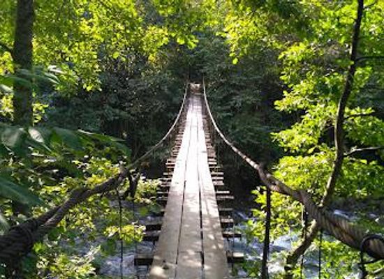 georgia/guria/attraction/mtirala-national-park