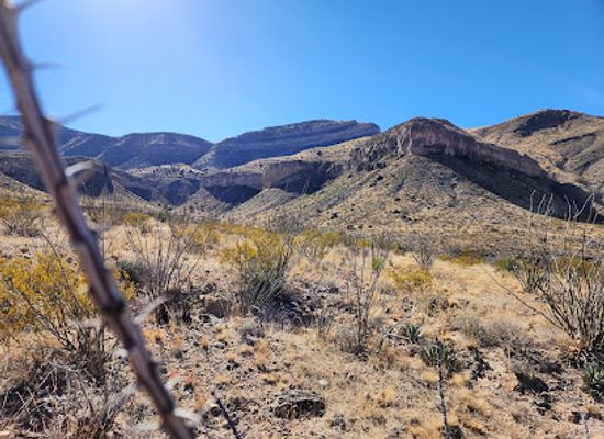 new-mexico/sangre-de-cristo-mountains/attraction/lincoln-national-forest