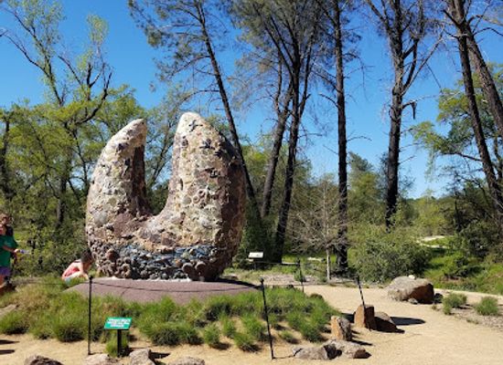 california/redding/attraction/mc-connell-arboretum-botanical-gardens