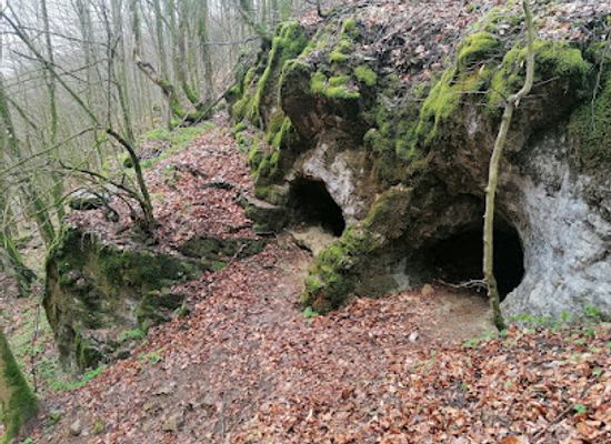 slovakia/banska-bystrica/attraction/jaskyna-zajdlikov-hostinec