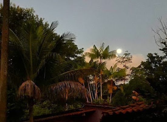 brazil/itacare/attraction/alma-verde-bahia