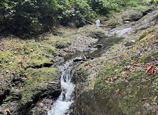 saint-lucia/canaries-quarter/attraction/roblot-waterfall