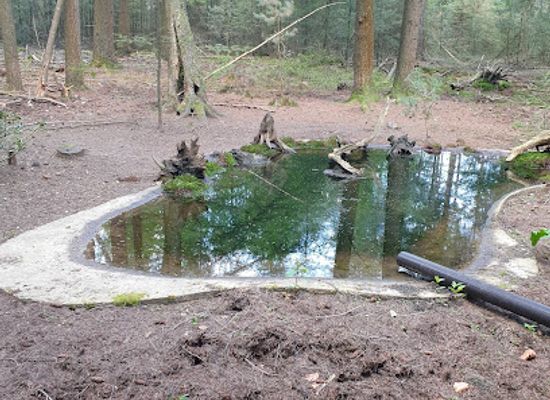 netherlands/veluwe-national-park/attraction/vogelkijkhut-otterlo