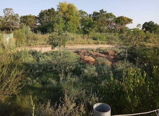 israel/beersheba/attraction/earths-promise