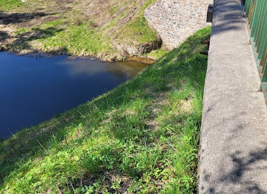 poland/olsztyn/attraction/rzeka-wadag