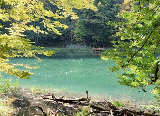 croatia/podravina/attraction/park-prirode-papuk-unesco-global-geopark