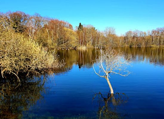 denmark/north-zealand/attraction/store-donse-dam