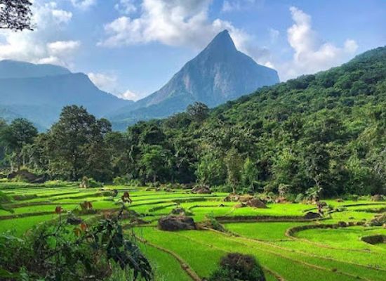 sri-lanka/knuckles-mountain-range/attraction/sri-lanka-knuckles-hike