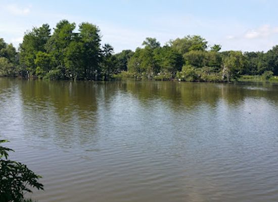 louisiana/acadiana/attraction/rip-s-rookery