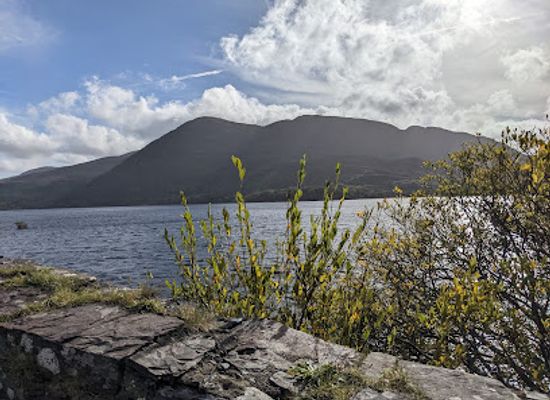 ireland/killarney-national-park/attraction/brickeen-bridge