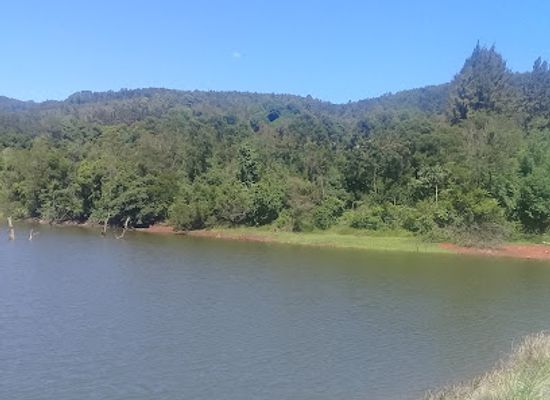 zimbabwe/lowveld/attraction/lionhill-forest-land