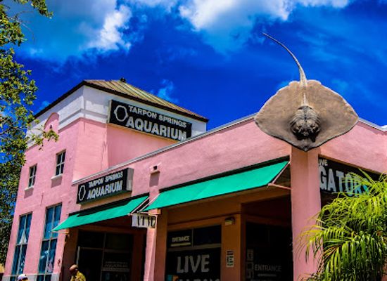 florida/sun-coast/attraction/tarpon-springs-aquarium-and-animal-sanctuary