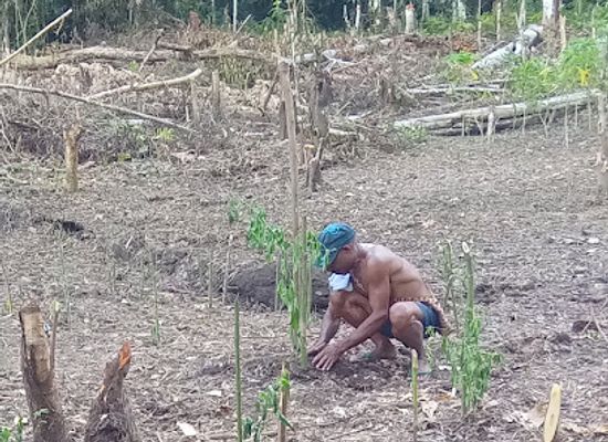 indonesia/southeast-papua/attraction/gua-lokale
