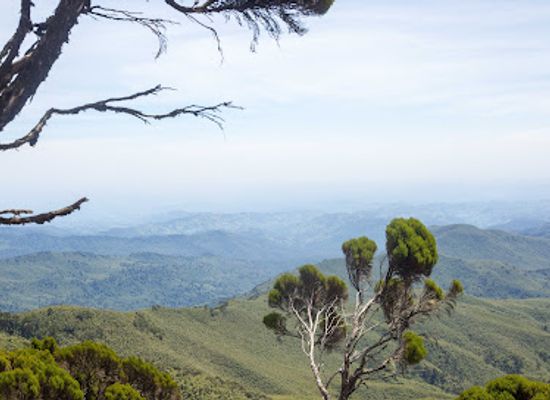 kenya/nyandarua-range/attraction/elephant-hill-hiking-trail-aberdare-njabini-kenya