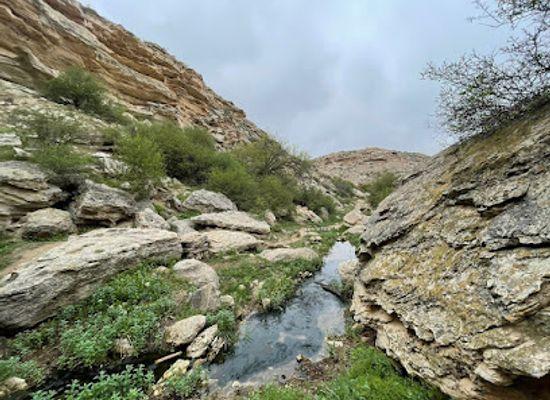 kazakhstan/semirechye-seven-rivers/attraction/tamshaly-ledder-entrance-canyon