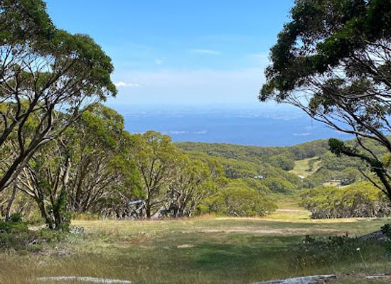 australia/gippsland/attraction/mount-baw-baw-summit