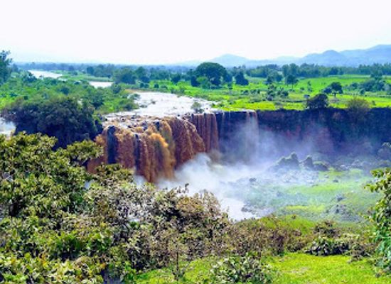 ethiopia/shewa/attraction/sycamore-ethiopia-tours