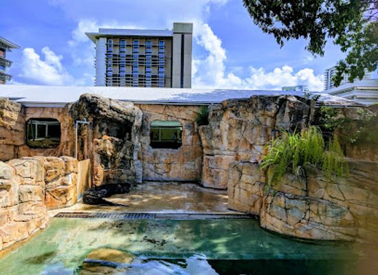 australia/northern-territory/attraction/crocosaurus-cove