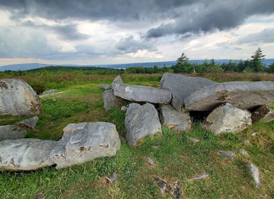 ireland/the-burren/attraction/cavan-burren-park