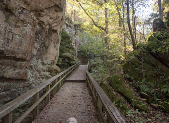 illinois/ferne-clyffe-state-park/attraction/giant-city-nature-trail