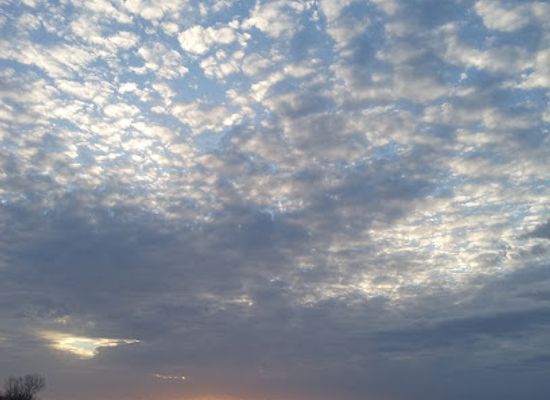 iowa/loess-hills/attraction/horseshoe-lake-wetland-area