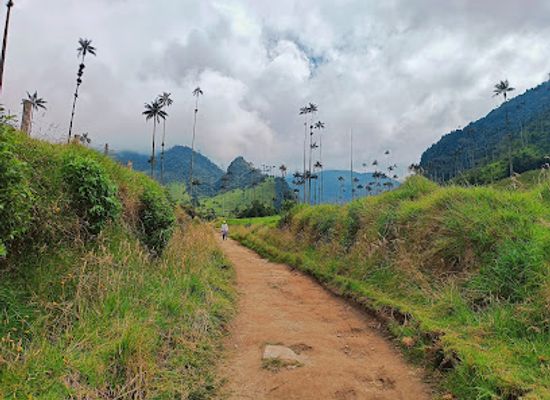 colombia/cocora-valley/attraction/sendero-hasta-el-rio-cardenas-valle-de-cocora