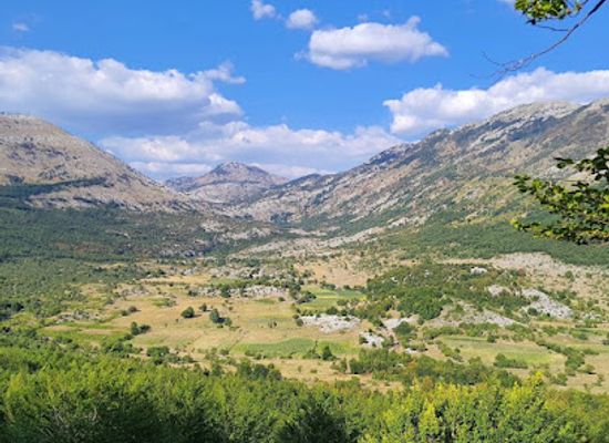 montenegro/moraca/attraction/park-forest-gorica