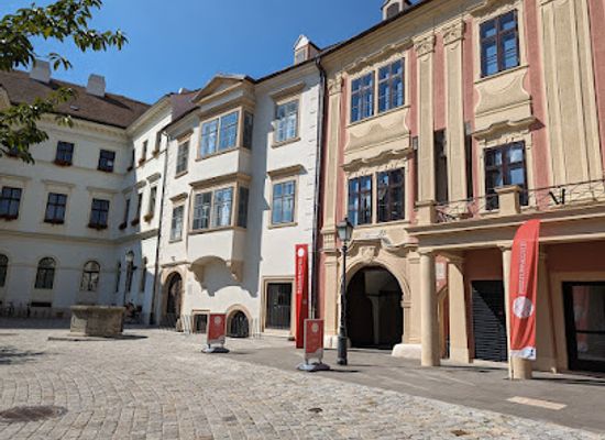 hungary/sopron-region/attraction/fabricius-haz