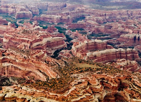 utah/canyonlands/attraction/redtail-air-adventures