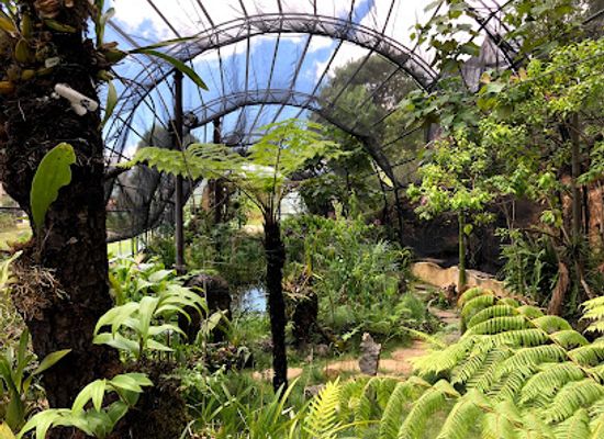 mexico/lacandon-jungle/attraction/reserva-ecologica-y-jardin-de-orquideas-moxviquil