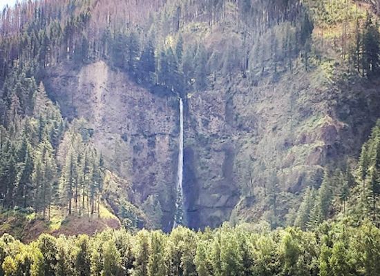 washington/columbia-river-gorge/attraction/columbia-gorge-sternwheeler