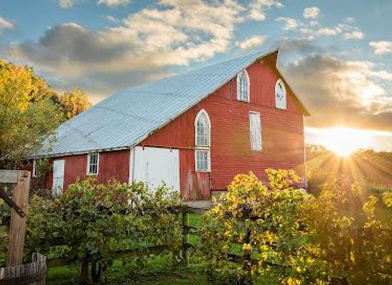 iowa/eastern-iowa/attraction/galena-cellars-vineyard
