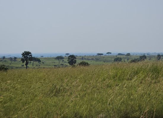 uganda/murchison-falls-national-park/attraction/murchison-falls-national-park-bugungu-gate
