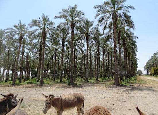 israel/samaria/attraction/beit-shean-agricultural-ecological-tourism-atractions-meinot-valley
