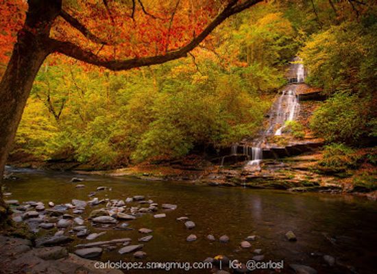 north-carolina/great-smoky-mountains/attraction/tom-branch-falls