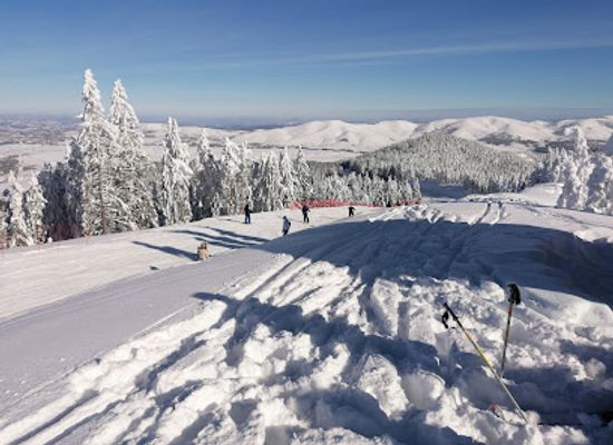 serbia/zlatibor/attraction/tornik-ski-center