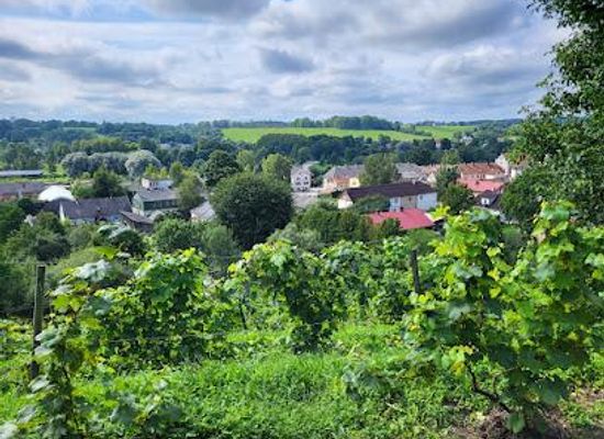 latvia/kuldiga/attraction/wine-hill-of-sabile