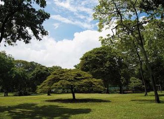colombia/medellin/attraction/jardin-botanico-de-medellin