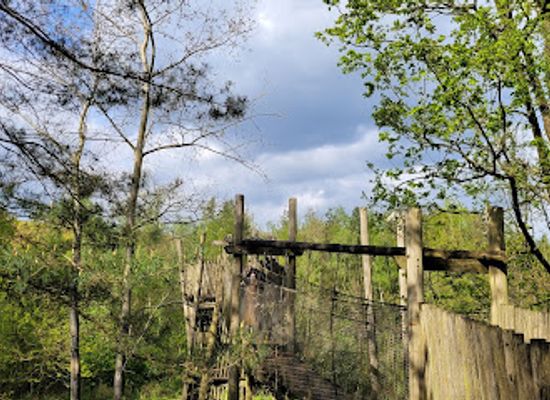 belgium/campine-kempen/attraction/insektenmuseum-entomopolis