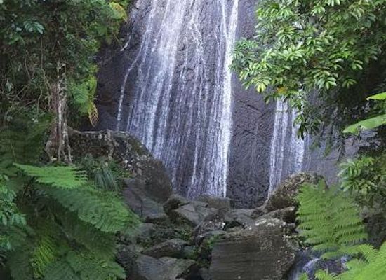 puerto-rico/fajardo/attraction/el-yunque-national-forest